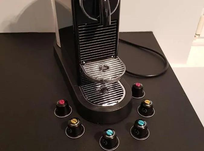 Apartment Centre-ville Renove 6/8 Personnes Gérardmer