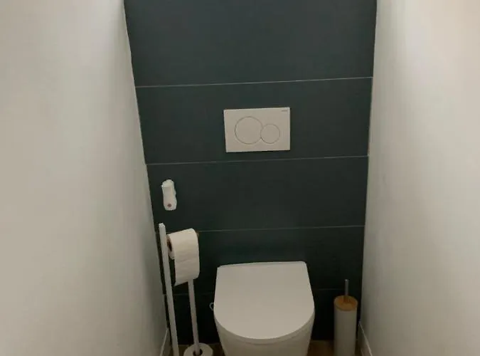 Centre-ville Renove 6/8 Personnes Apartment Gérardmer